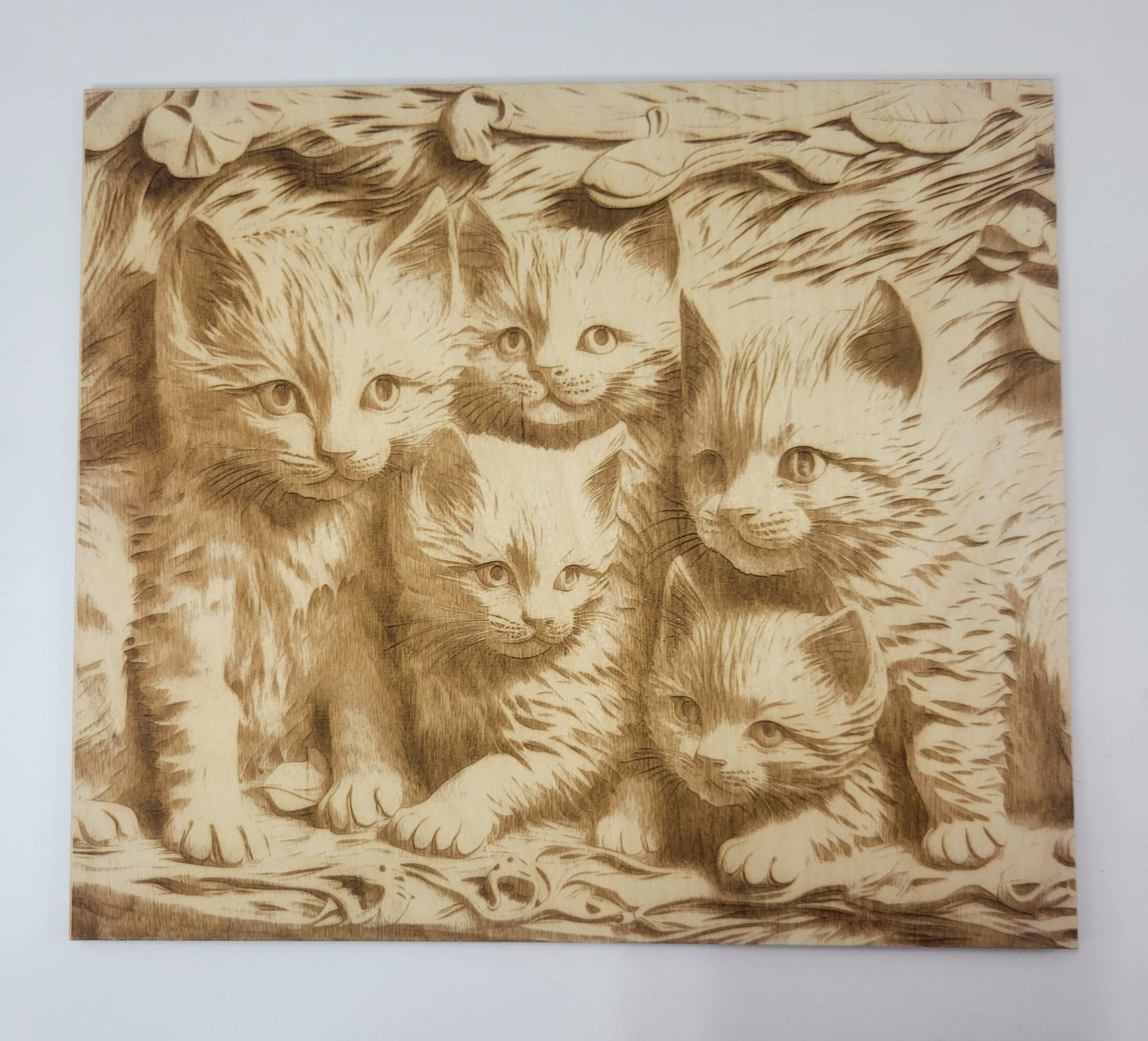 3D Illusion Engraved Plaque - Kittens