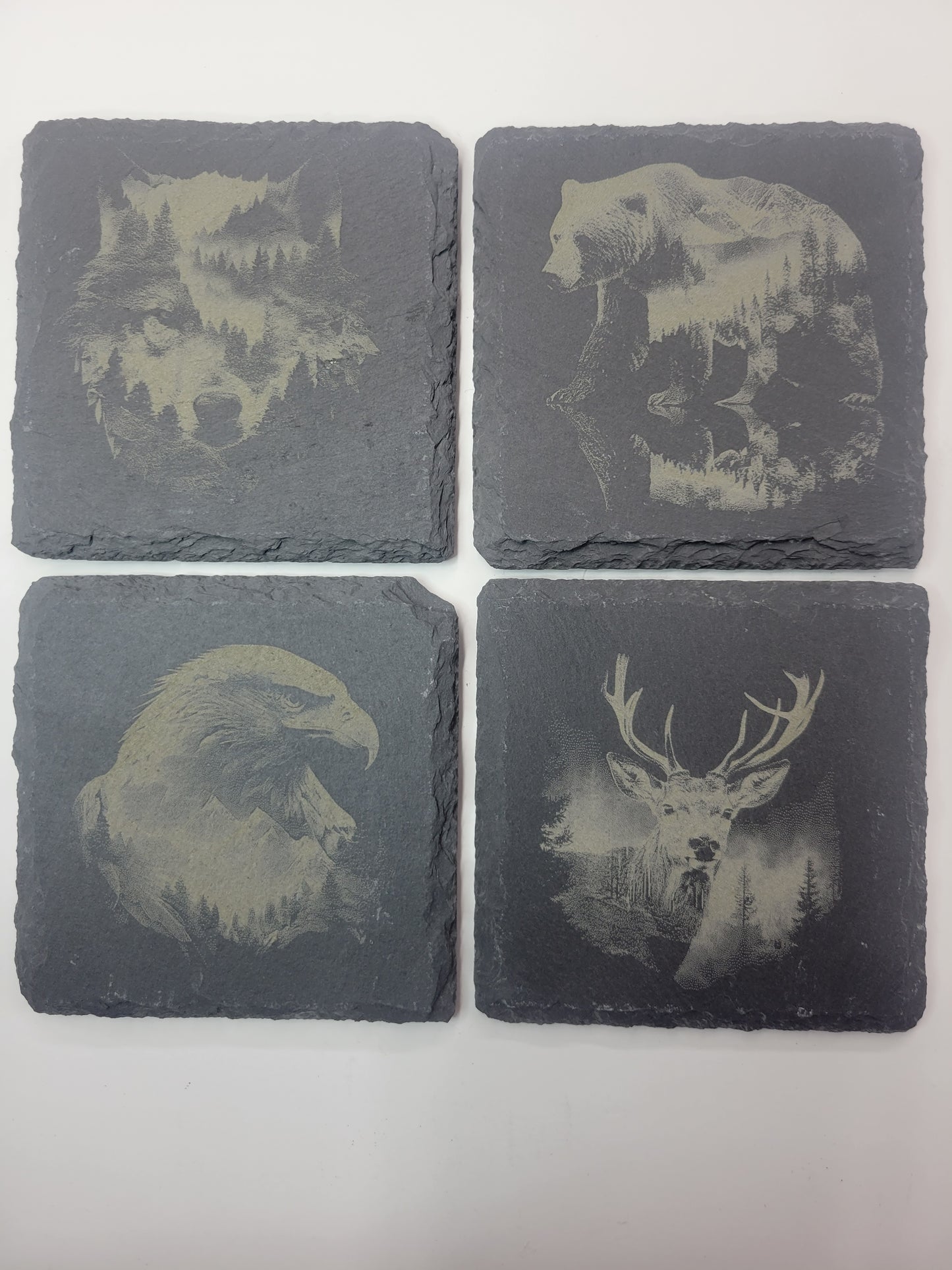 Wildlife Coasters - Black Slate