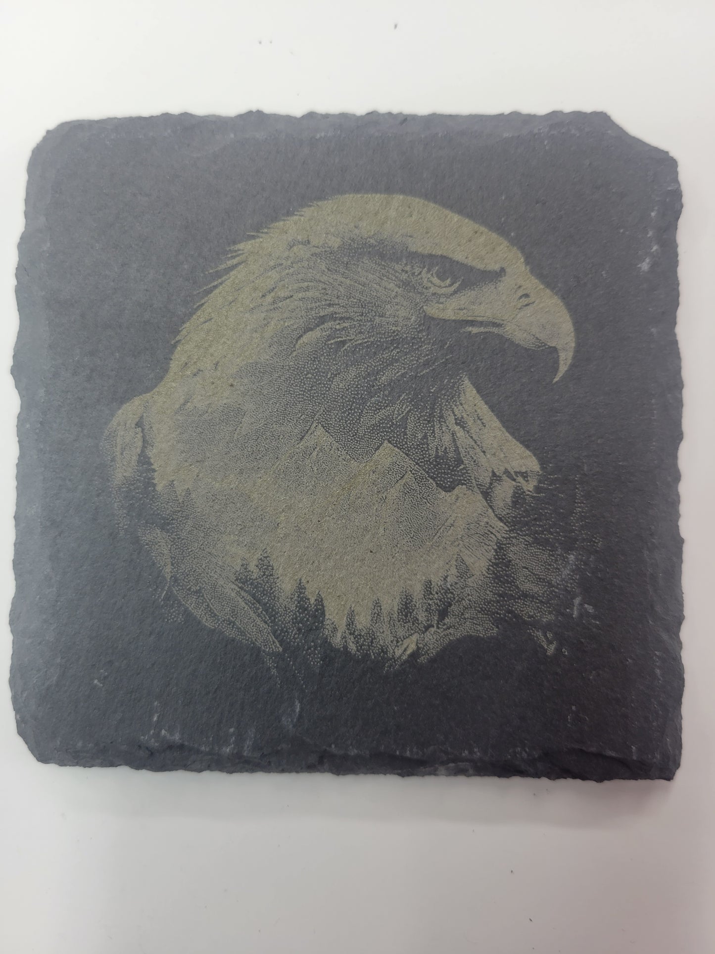 Wildlife Coasters - Black Slate