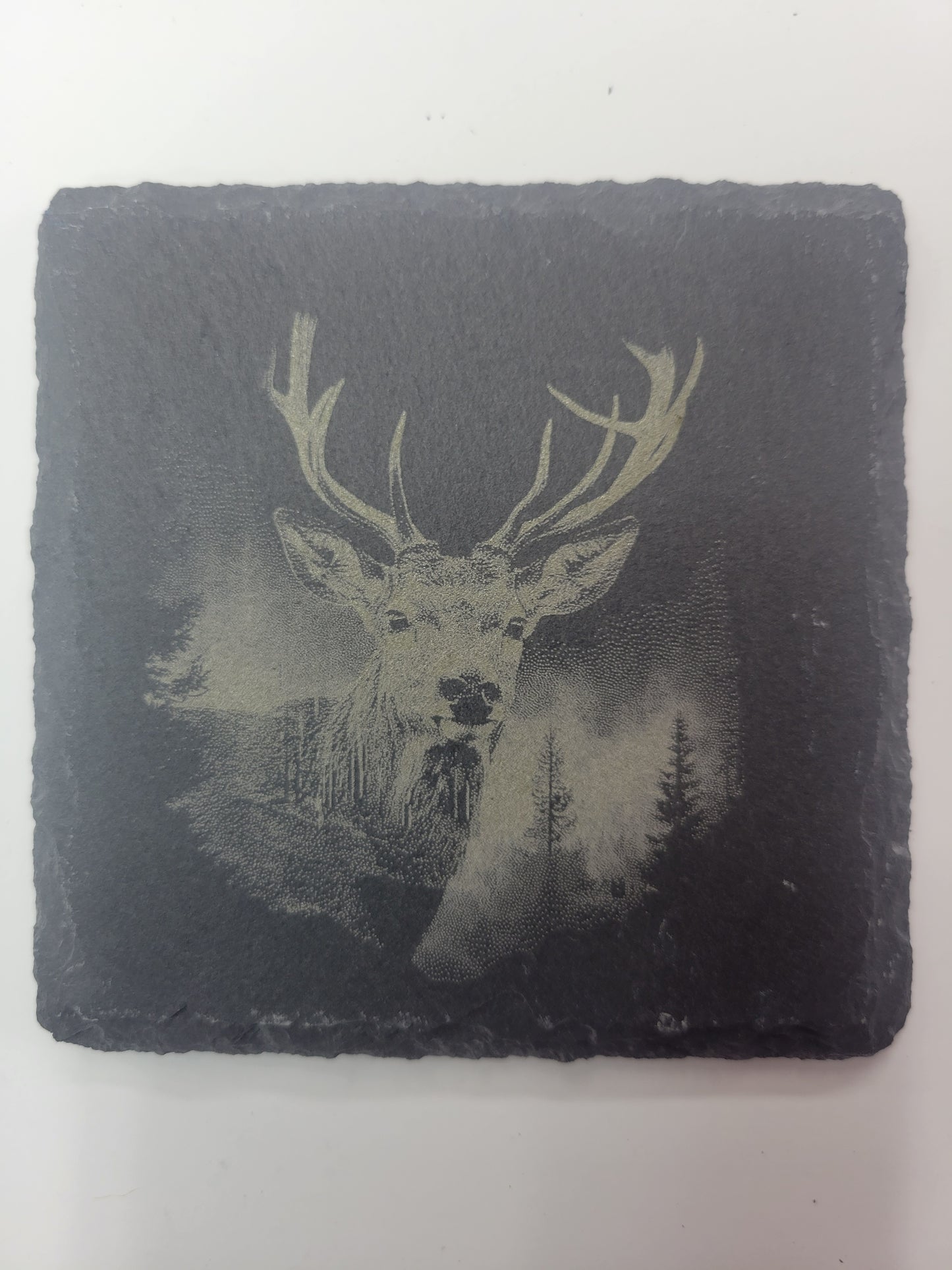 Wildlife Coasters - Black Slate