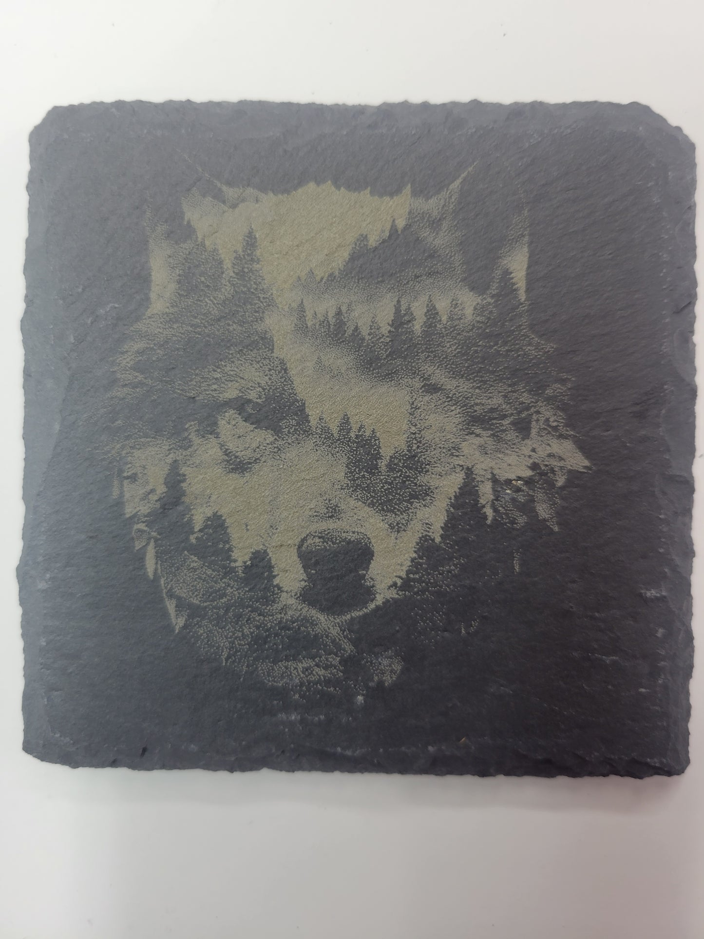 Wildlife Coasters - Black Slate